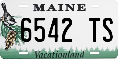 ME license plate 6542TS