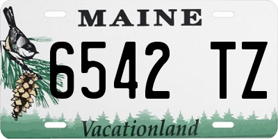 ME license plate 6542TZ