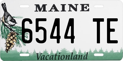 ME license plate 6544TE