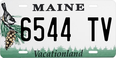ME license plate 6544TV