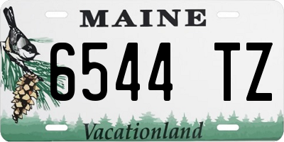 ME license plate 6544TZ