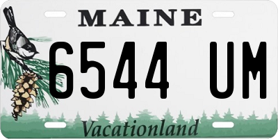 ME license plate 6544UM