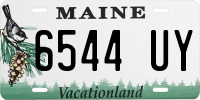 ME license plate 6544UY