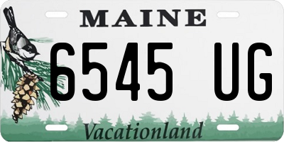 ME license plate 6545UG
