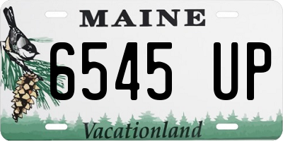 ME license plate 6545UP