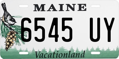 ME license plate 6545UY