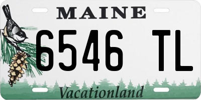 ME license plate 6546TL