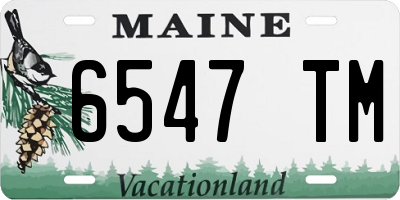 ME license plate 6547TM