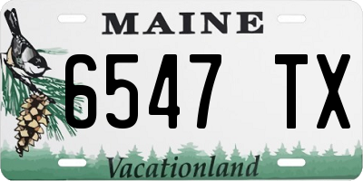 ME license plate 6547TX
