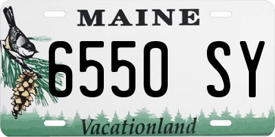 ME license plate 6550SY
