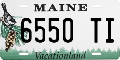 ME license plate 6550TI