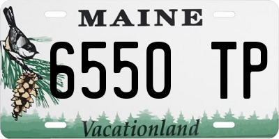 ME license plate 6550TP