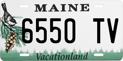 ME license plate 6550TV