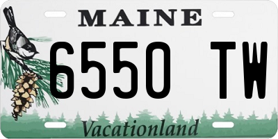 ME license plate 6550TW