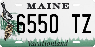 ME license plate 6550TZ