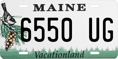 ME license plate 6550UG