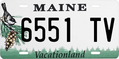 ME license plate 6551TV