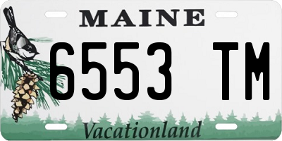 ME license plate 6553TM