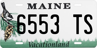ME license plate 6553TS