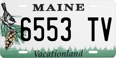 ME license plate 6553TV