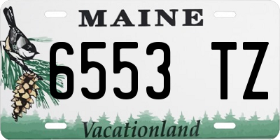 ME license plate 6553TZ