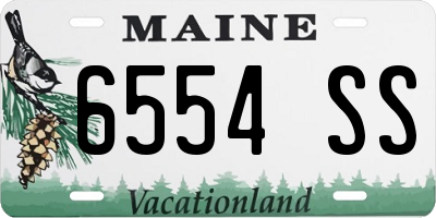 ME license plate 6554SS