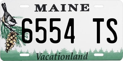 ME license plate 6554TS