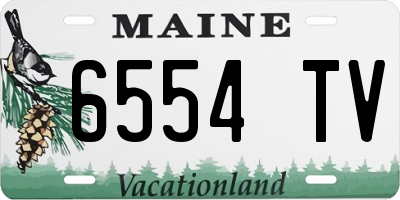 ME license plate 6554TV