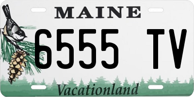 ME license plate 6555TV