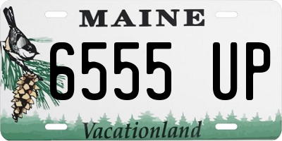 ME license plate 6555UP