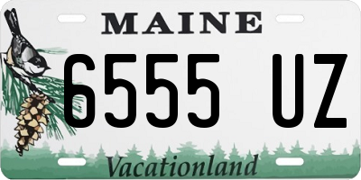 ME license plate 6555UZ