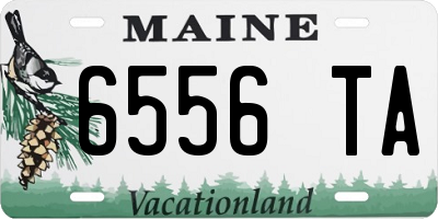 ME license plate 6556TA