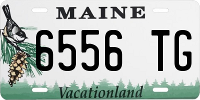 ME license plate 6556TG