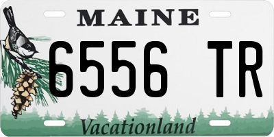 ME license plate 6556TR