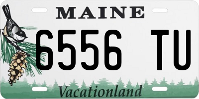 ME license plate 6556TU