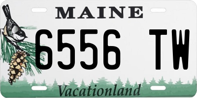 ME license plate 6556TW