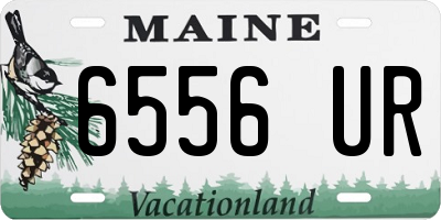 ME license plate 6556UR