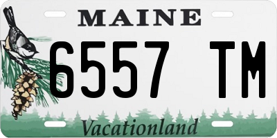 ME license plate 6557TM