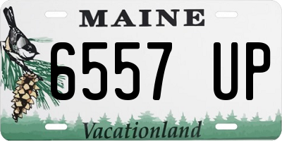 ME license plate 6557UP
