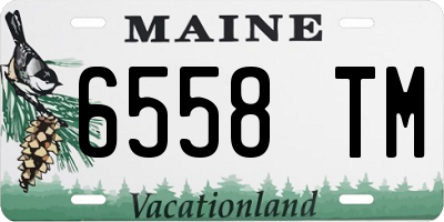 ME license plate 6558TM