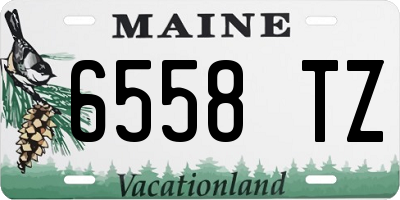 ME license plate 6558TZ