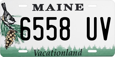 ME license plate 6558UV