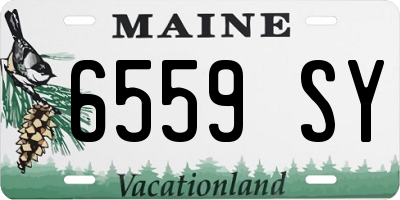 ME license plate 6559SY