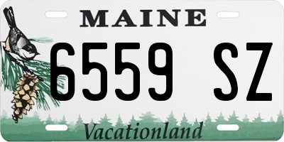 ME license plate 6559SZ