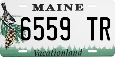 ME license plate 6559TR