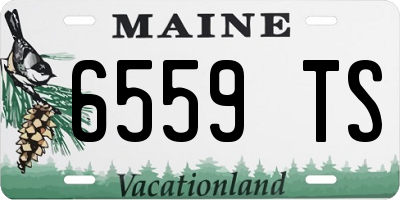 ME license plate 6559TS