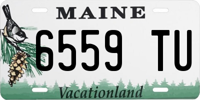 ME license plate 6559TU