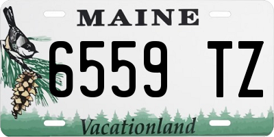 ME license plate 6559TZ