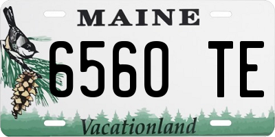 ME license plate 6560TE