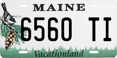 ME license plate 6560TI